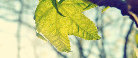 DDOS压力测试网页端