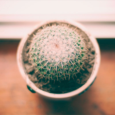 快速调试程序的在线DDOS平台攻击